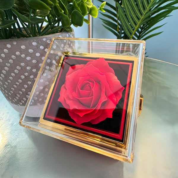 A Gift That Embodies Your Unbreakable Love - Love Knot Necklace with preserved rose. NEW Jewelry ShineOn Fulfillment 